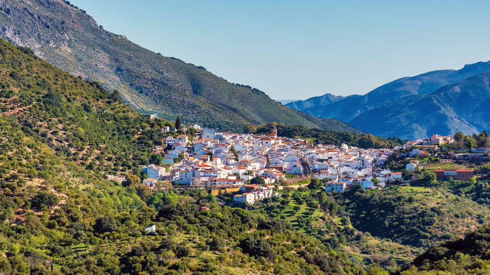 Cortes De La Frontera Gu a Completa En La Serran a De Ronda