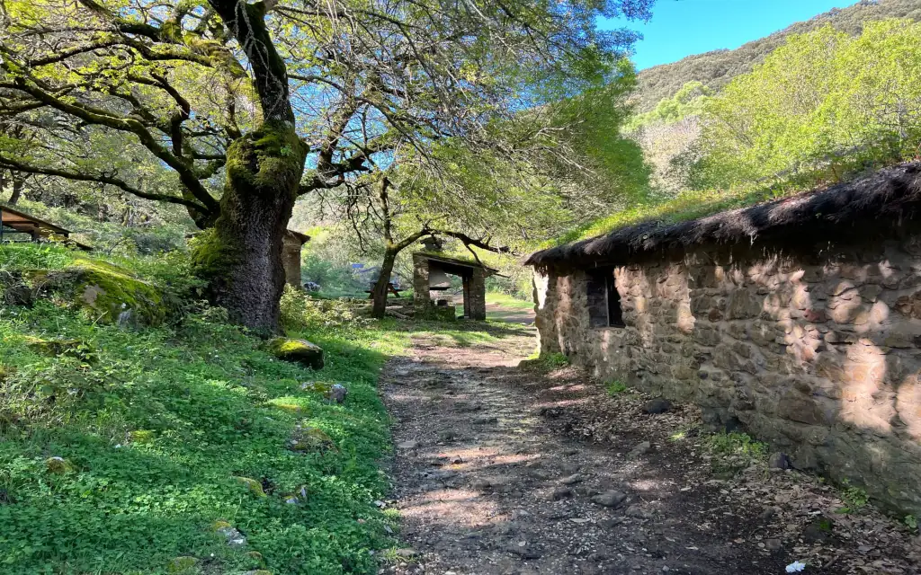 La Sauceda