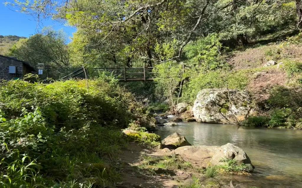 La Sauceda