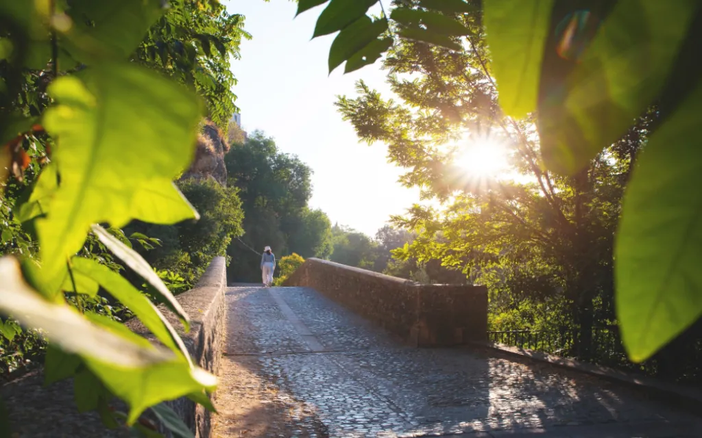 Puente de San Miguel