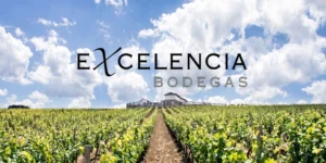 Bodegas Excelencia Ronda