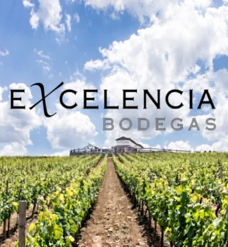 Bodegas Excelencia Ronda