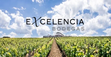 Bodegas Excelencia Ronda