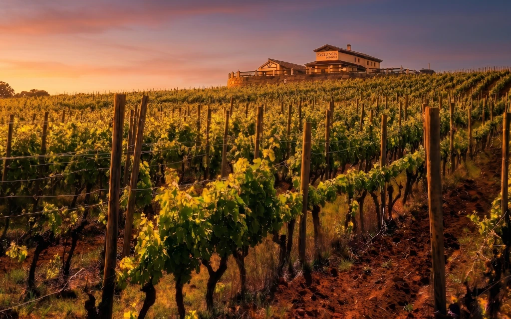 Bodegas Excelencia Ronda